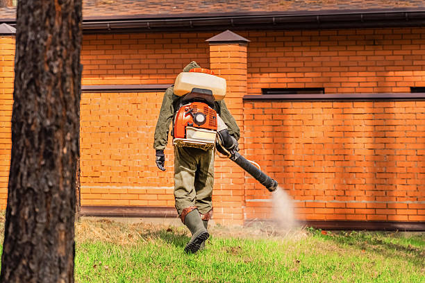 Trusted Ant Control service in Bedford, IA - Nex Pest Control